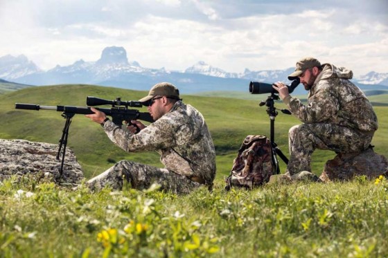 Оптический прицел NIGHTFORCE SHV™ 4-14×56 MOAR™ (C522)